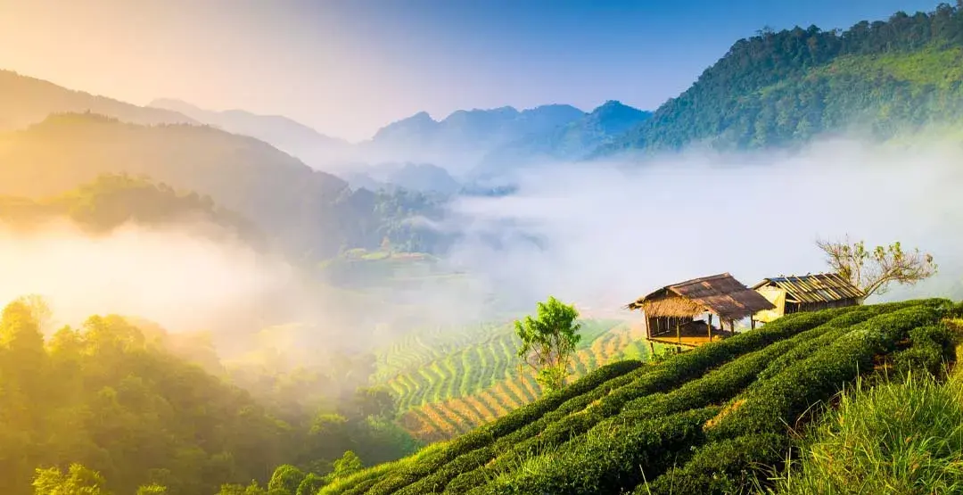 آب و هوای تایلند