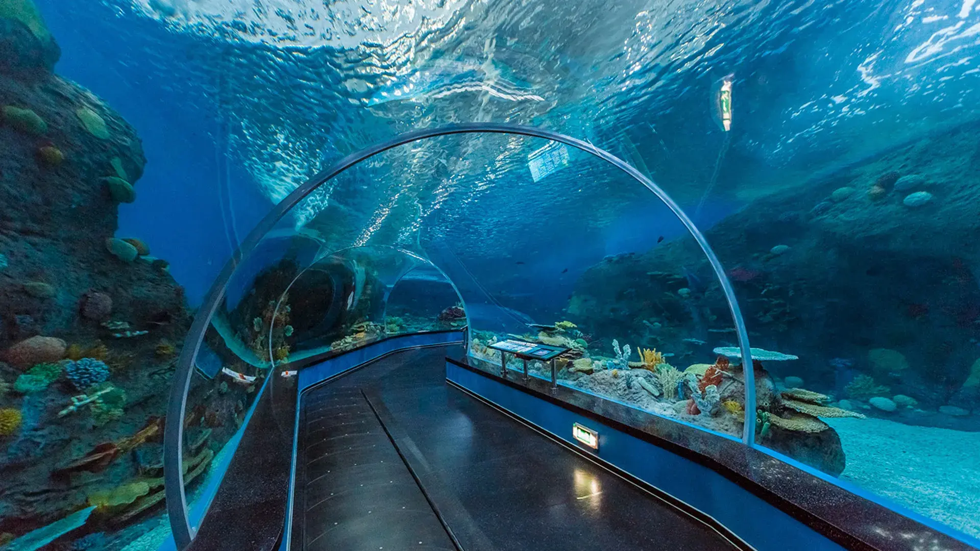 آکواریوم کوالالامپور