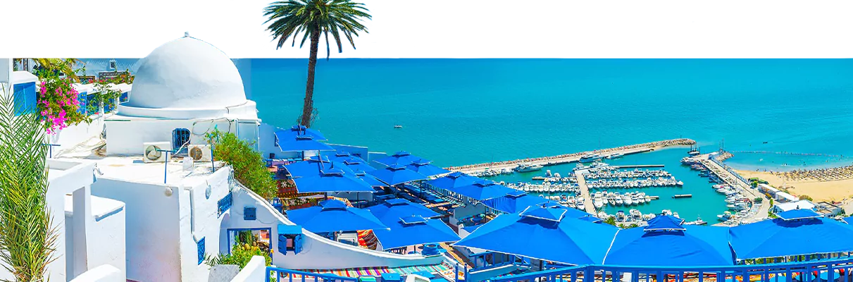 حمامات + سوسه پاییز 1404