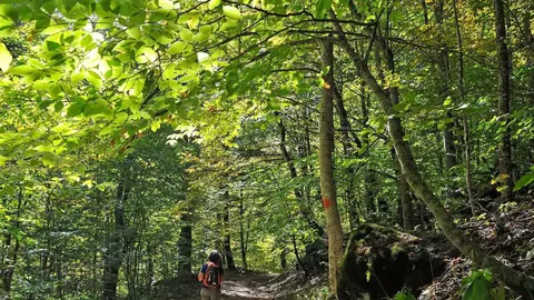 تجربه سفر به ارمنستان 2