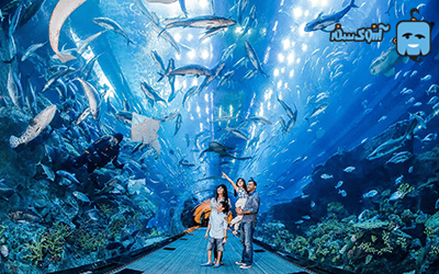 dubai-aquarium-and-underwater