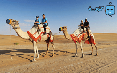 dubai-camel-riding