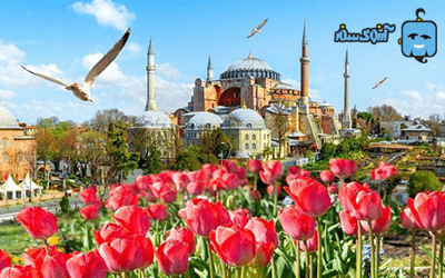 istanbul-tulip-festival