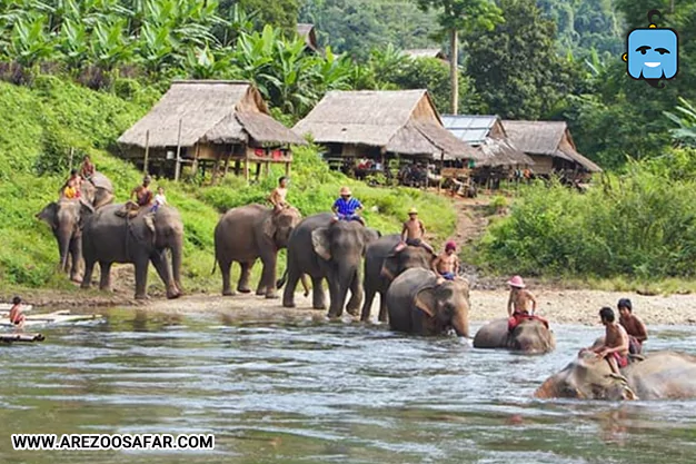 پیاده وری ترکیبی در دهکده فیل های پاتایا