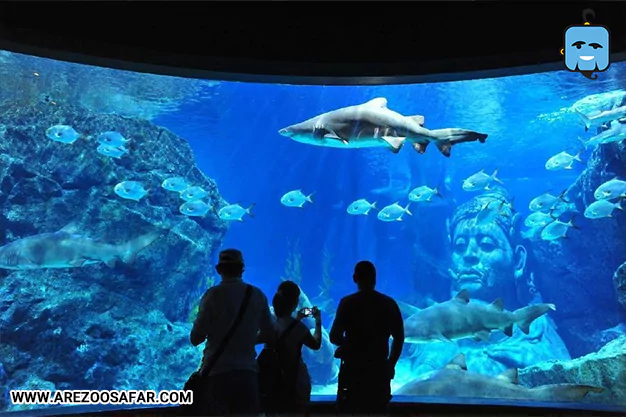 بازدید از SEA LIFE Ocean World