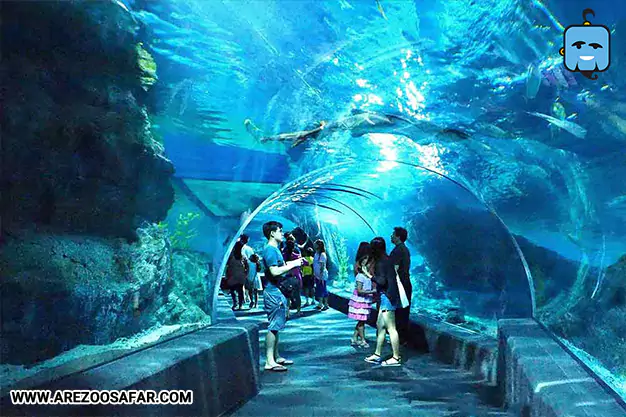 آکواریوم Sea Life Ocean World در سیام پاراگون