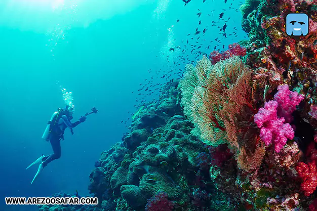 غواصی در مجمع‌الجزاير سیمیلان