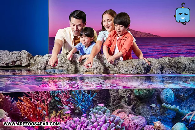 آکواریوم سی لایف بانکوک از جاهای دیدنی بانکوک