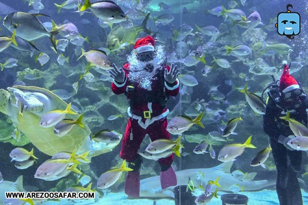 آکواریوم کوالالامپور؛ معرفی کامل + نحوه دسترس (عکس)