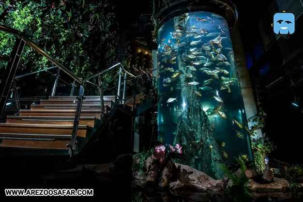 آکواریوم کوالالامپور؛ معرفی کامل + نحوه دسترس (عکس)