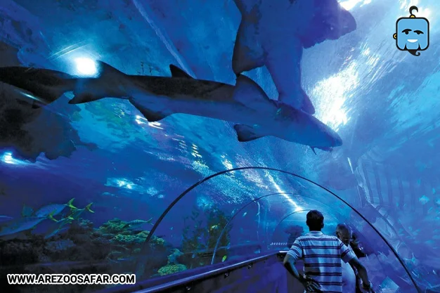 آکواریوم کوالالامپور؛ معرفی کامل + نحوه دسترس (عکس)