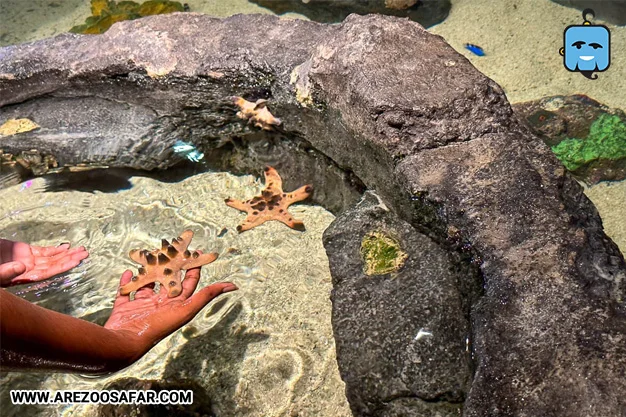 آکواریوم کوالالامپور؛ معرفی کامل + نحوه دسترس (عکس)