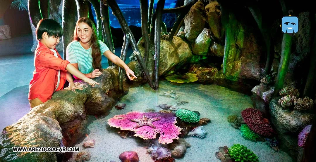 آکواریوم پاتایا | نحوه دسترسی + هزینه (عکس)