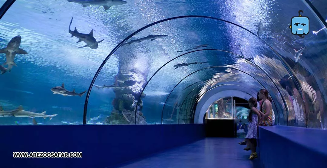 آکواریوم پاتایا | نحوه دسترسی + هزینه (عکس)