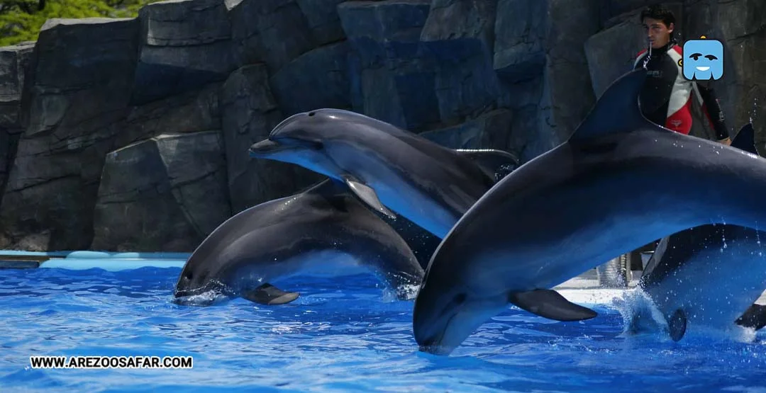 جاهای دیدنی باتومی