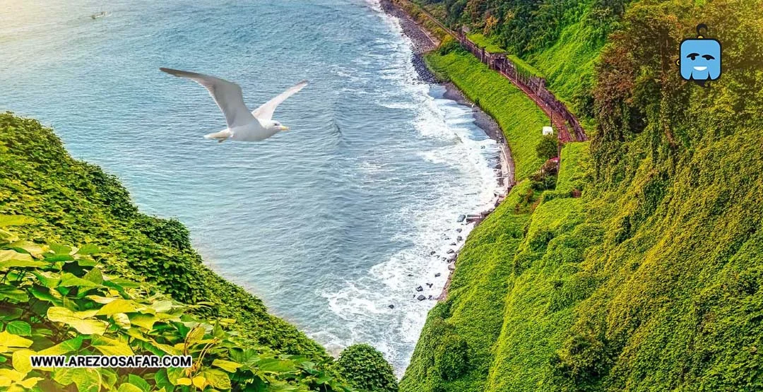 جاهی دیدنی باتومی