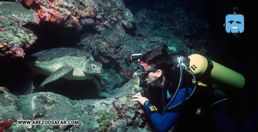 جزایر مالزی