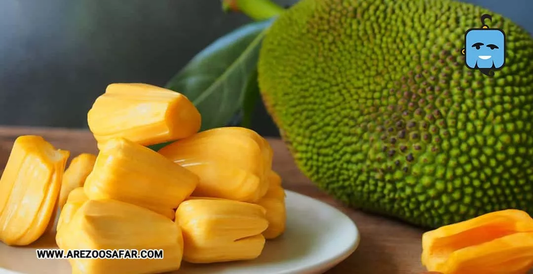 میوه های تایلند | میوه های خوشمزه تایلندی + عکس