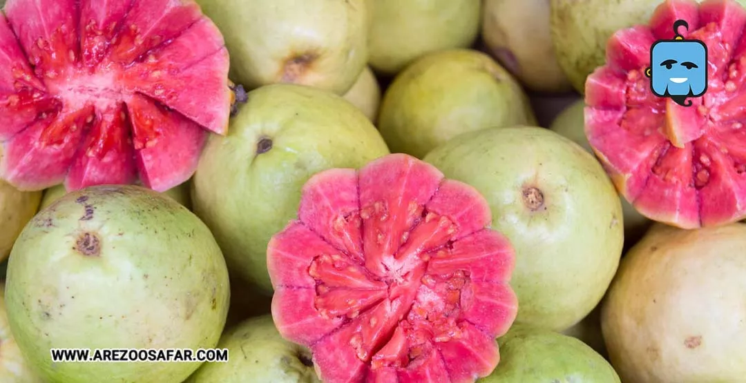 میوه های تایلند | میوه های خوشمزه تایلندی + عکس