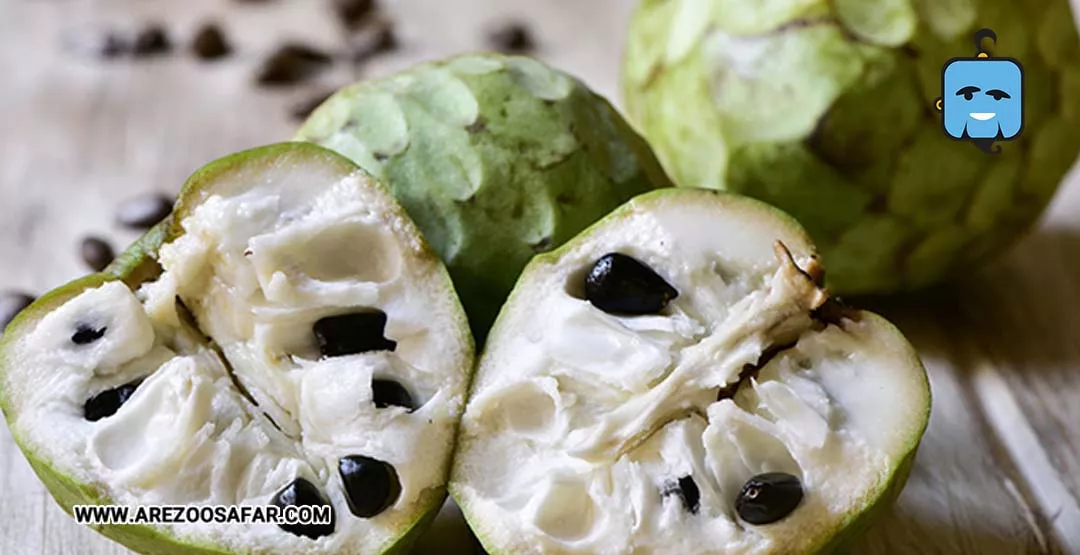 میوه های تایلند | میوه های خوشمزه تایلندی + عکس