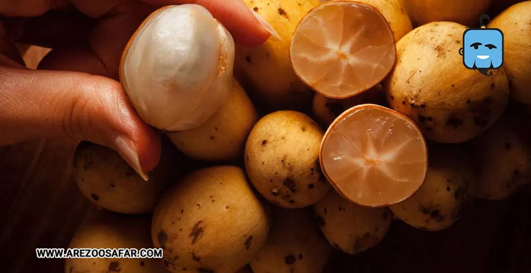 میوه های تایلند | میوه های خوشمزه تایلندی + عکس