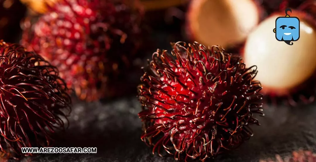 میوه های تایلند | میوه های خوشمزه تایلندی + عکس