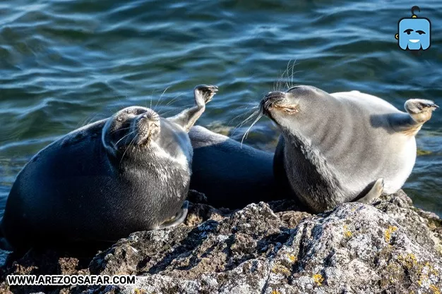 پارک های ملی روسیه | معرفی 20 پارک ملی روسیه