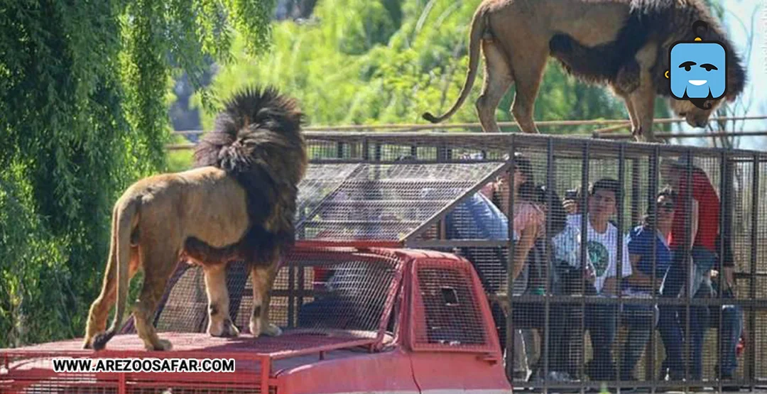 جاهای دیدنی دوشنبه + آدرس و هزینه