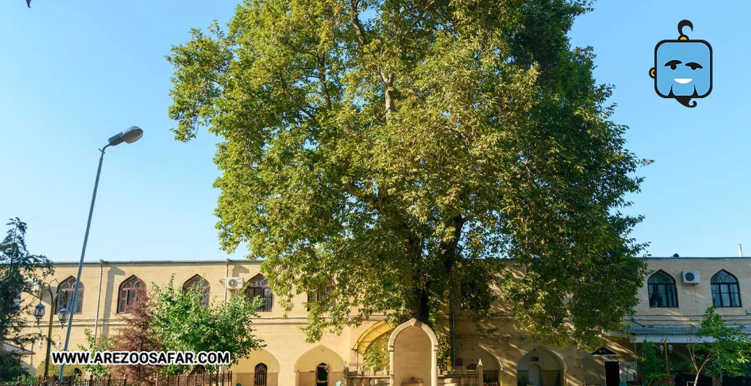 مساجد روسیه | معرفی ۱۰ مسجد روسیه + عکس