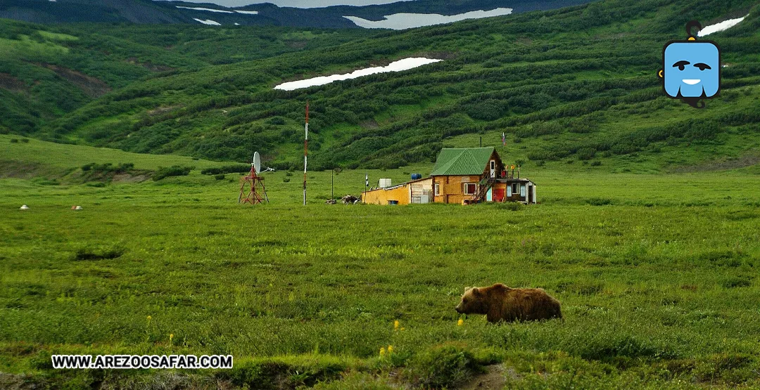 جنگل های روسیه