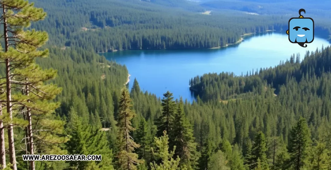 جنگل های روسیه