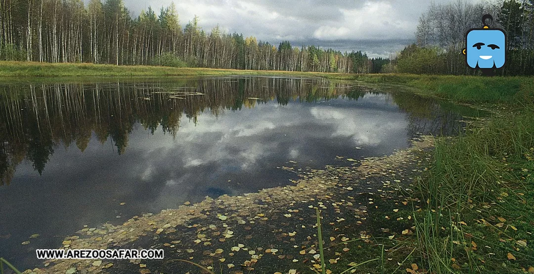 جنگل های روسیه