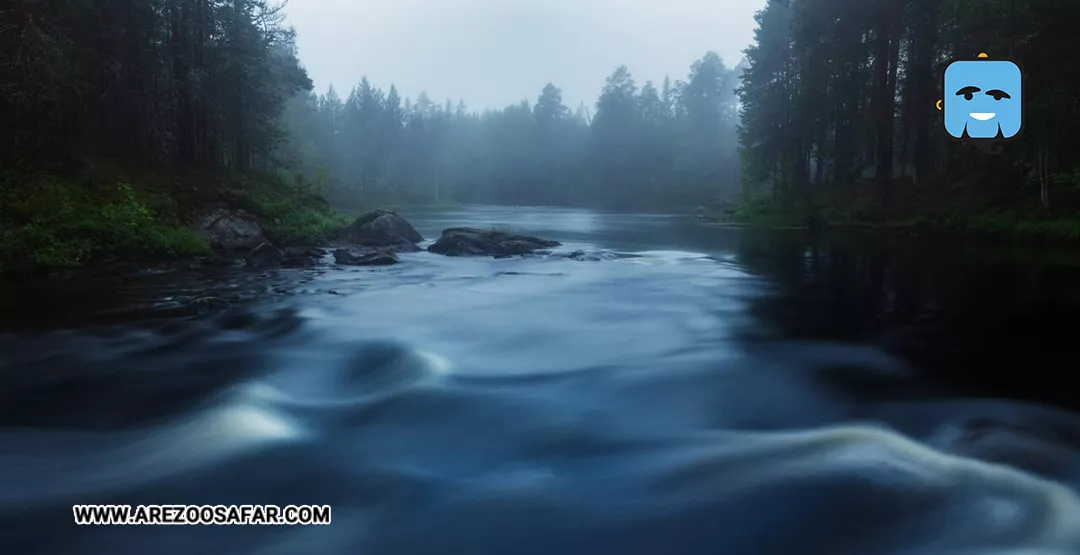 جنگل های روسیه