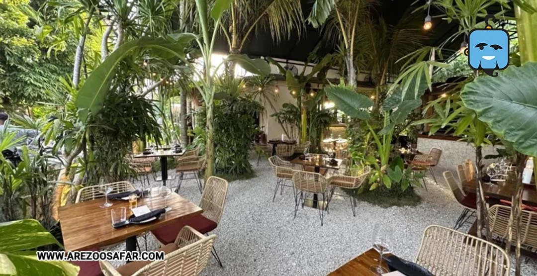 کلاب های شبانه در بالی